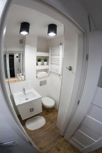 イェレニャ・グラにあるBlue Apartment Ciepliceのバスルーム(トイレ、洗面台、鏡付)
