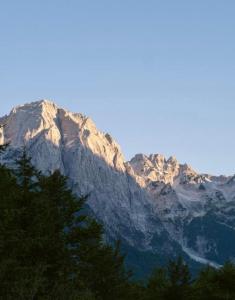 a view of a mountain with trees in front of it at Eco Camping Valbone in Valbonë