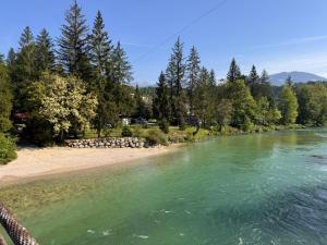 a view of a river with trees and a beach at Tinaraft camp in Radovljica
