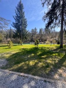 a large shadow of a tree in a park at Tinaraft camp in Radovljica