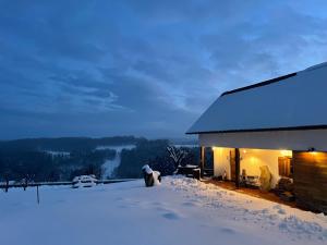 a house with snow on the ground in front of it at Das Weinstöckl in Inzenhof