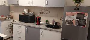 a kitchen with a counter with a sink and a refrigerator at Garsoniera Monique Luxury in Chiajna