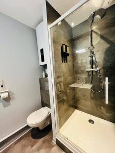 a bathroom with a shower and a toilet at Le Stud in Vandoeuvre-lès-Nancy