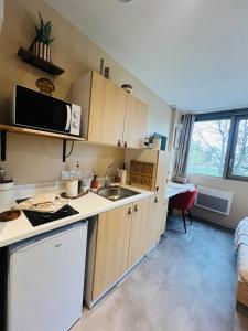 a kitchen with a sink and a microwave at Le Stud in Vandoeuvre-lès-Nancy
