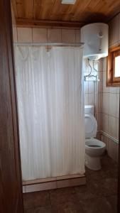 a bathroom with a toilet and a shower curtain at Vila Zboriste in Nova Varoš +10 photos