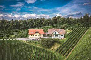 an aerial view of a house in a field of vineyards at Weingut Gaube in Leutschach