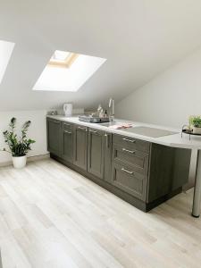 an attic kitchen with a sink and a skylight at Charmant Loft climatisé 50 m de la gare in Chalon-sur-Saône +13 photos