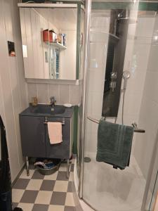 a small bathroom with a sink and a shower at Studette avec terrasse privée in Saint-Raphaël