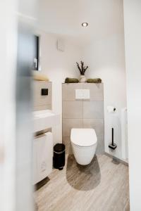a bathroom with a white toilet and a sink at Tiny Chalet in Blankenburg