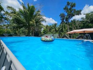 a large blue swimming pool with a raft in the water at Nahm Khao Sok Hostel and Camping in Khao Sok National Park