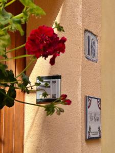 a red flower on a wall with clocks on it at Casa Vacanza Nì Rosa in Cefalù