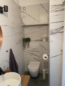 a bathroom with a toilet and a sink at David 73 in Split +11 photos