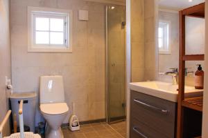 a bathroom with a toilet and a sink and a shower at Haugsynlies sjarm in Beitostøl +12 photos