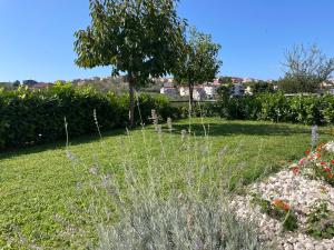 a garden with grass and flowers and a tree at David 73 in Split