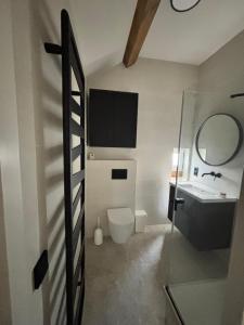 a bathroom with a toilet and a sink and a mirror at D'r Preëksjtool in Eygelshoven