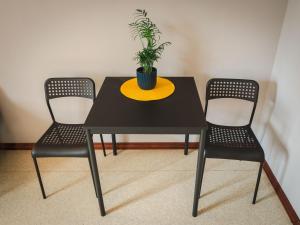 a black table with two chairs and a plant on it at Barona spilvens in Kazdanga