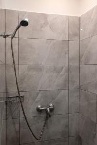 a shower with a shower head in a bathroom at Apartment Sučany in Sučany +29 photos