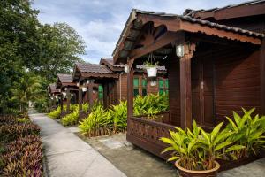 a row of wooden houses with plants in front at Cenanghill Beachfront in Pantai Cenang +55 photos
