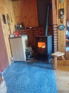 a fireplace in a room with a stove at Vikendica Bistrica in Mojkovac