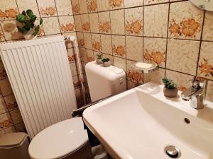 ein Badezimmer mit weißer Toilette und Waschbecken in der Unterkunft Gemütliche Fewo "Schellings Ruhe" in Sundern + 14 Fotos
