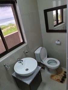 a bathroom with a sink and a toilet and a window at Palmnut Lodge in Durban