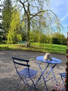 a blue table with a cake on top of it at Au bord de l'étang in Saint-Aubin +13 photos
