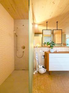 KönizにあるStadtloft Vianne mit Terrasseのシャワーと洗面台とトイレのある浴室