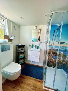 a bathroom with a toilet and a sink and a shower at Kleines Ems-Idyll in Lathen