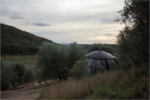 a gazebo sitting in the middle of a field at Cosmo Camp in Montepescali