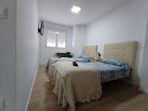 a bedroom with two beds and a window at Carbo Home y Garaje , Algemesí Home in Algemesí