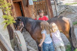 two children are standing next to a brown horse at Ferienbauernhof Wieserhof in Völs am Schlern