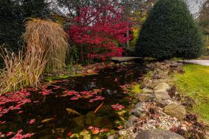 a garden with a bench and a pond with flowers at Villa Gineta in Štěchovice