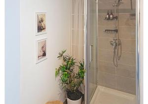 a bathroom with a shower with a plant in it at L'Échappée Verte - T2 avec balcon in Saulx-les-Chartreux