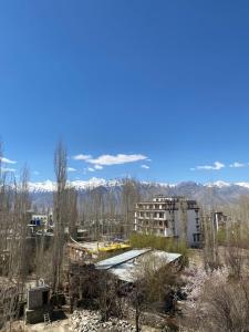a building in a field with mountains in the background at Summer Villa in Leh