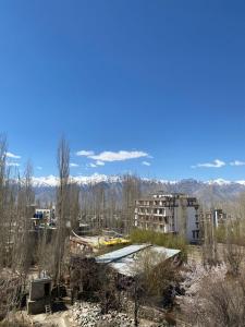 an abandoned building with mountains in the background at Summer Villa in Leh
