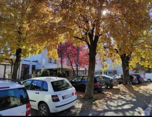 Eine Reihe von Autos parkt auf einem Parkplatz mit Bäumen in der Unterkunft Hotel Split in Glamoč