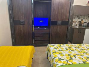 a bedroom with a bed and a tv in it at cosy house in Kobuleti