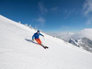 a man is skiing down a snow covered slope at Alpen Lodge Chiemgau in Schleching