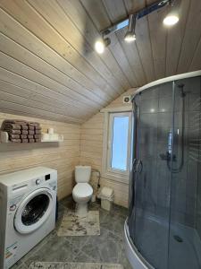 a bathroom with a toilet and a washing machine at Карпатська Модрина in Kosiv +158 photos