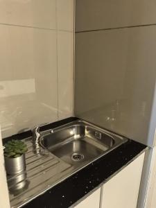 a stainless steel kitchen sink with a potted plant at Golf Road Guesthouse in Pietermaritzburg
