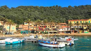 a group of boats docked at a dock in the water at Camping Tikayan Beau Séjour in Le Lavandou