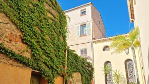 a building with ivy on the side of it at Camping Tikayan Beau Séjour in Le Lavandou
