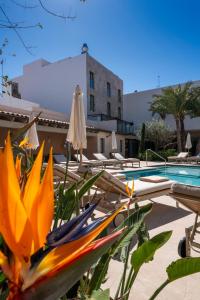 a pool with chairs and umbrellas next to a pool at Hotel Boutique Petit París in Port de Pollensa