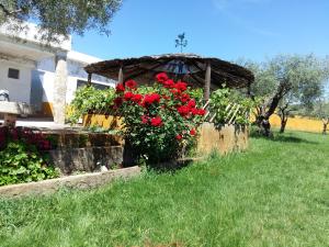 Foto dalla galleria di Quinta da Mina a Monsanto