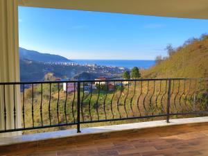a balcony with a view of a vineyard at Gelevera Park - Otel Spa Restaurant in Espiye