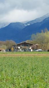 a house in a field with mountains in the background at Gîtes Ruraux à La Ferme D'Antan in Crolles +8 photos
