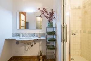 a bathroom with a sink and a mirror and a shower at Albavilla Stone Loft in Albavilla +18 photos