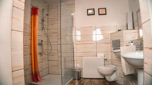 a bathroom with a shower and a toilet and a sink at Ekofarma Selwit in Sosnówka +48 photos