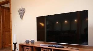a large flat screen tv sitting on a wall at Ferienwohnung an der südlichen Boddenküste in Bartelshagen