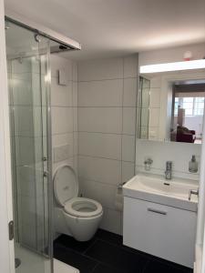 a bathroom with a toilet and a sink at Zentrales Schloss Apartment in Arbon